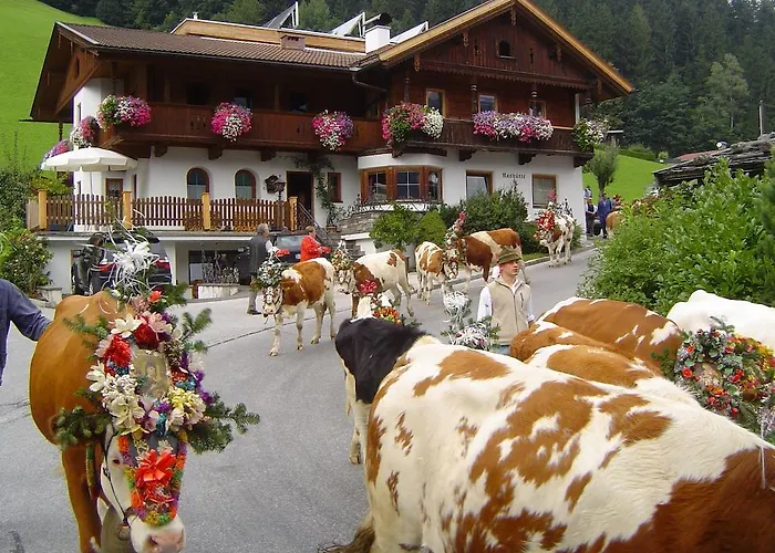 公寓 卡斯小屋公寓